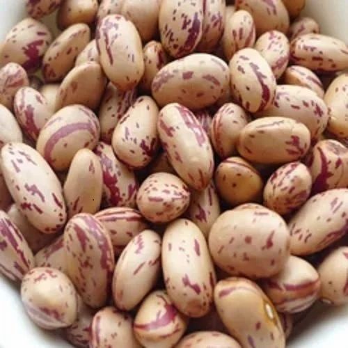 Dried Pinto Beans