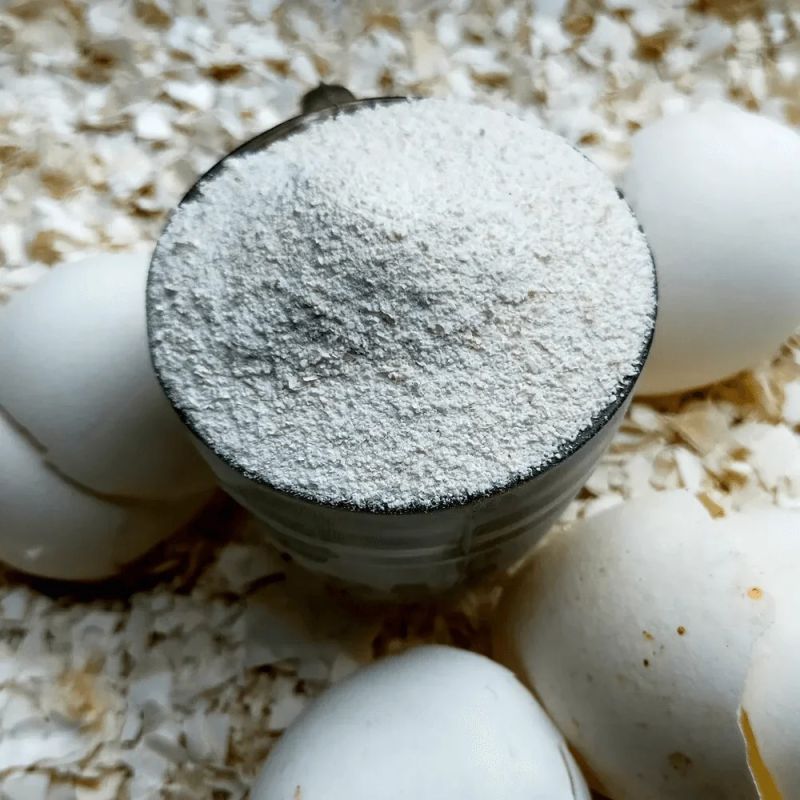White Eggshell Powder