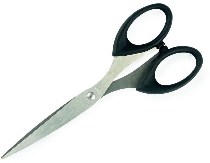 Stainless Steel Scissor