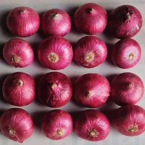 A Grade Maharashtra Fresh Red Onion