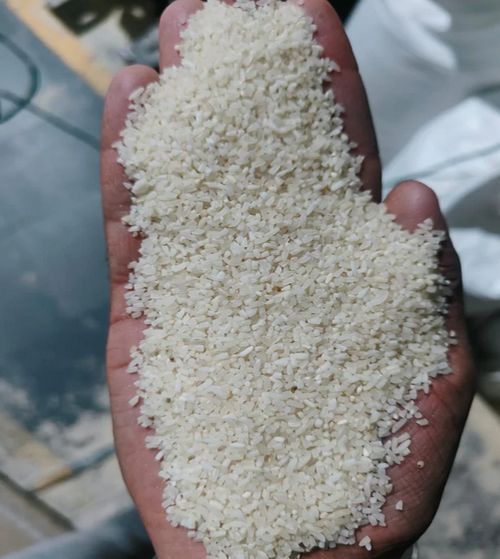 White Raw Broken Rice