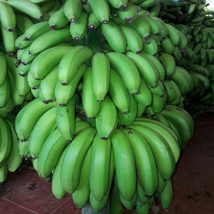 A Grade Green Banana