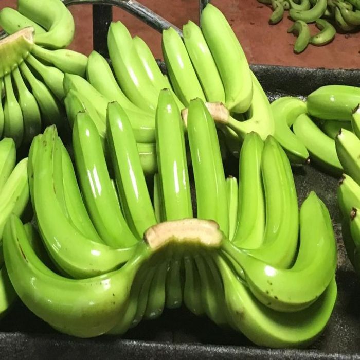 Fresh Green Banana