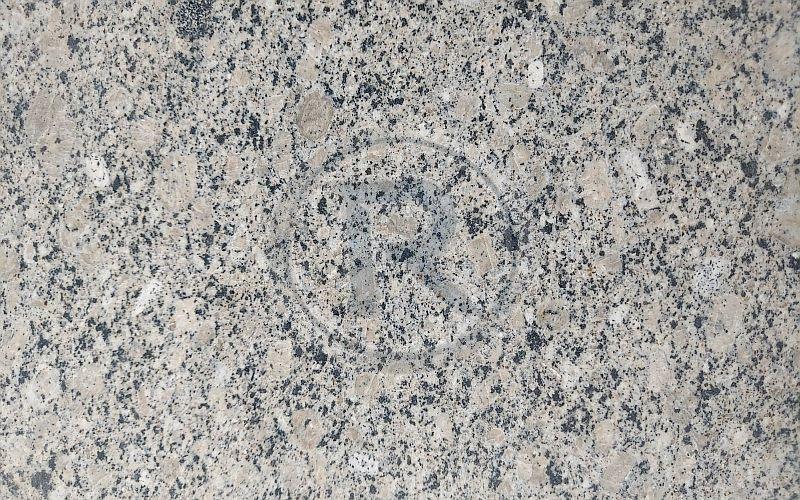Dungri Grey Granite Slab