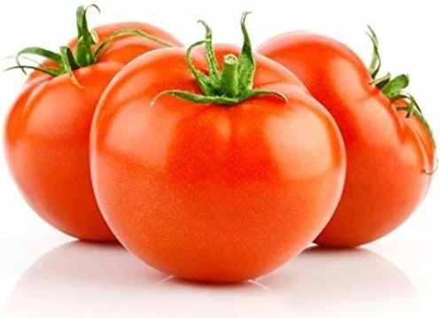 A Grade Fresh Tomato