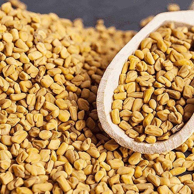 A Grade Organic Fenugreek Seed