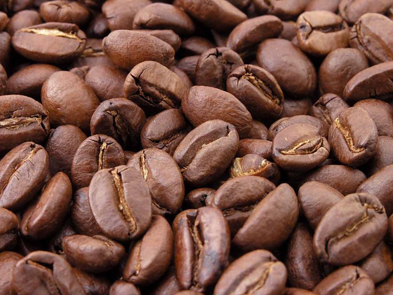 Organic Coffee Bean