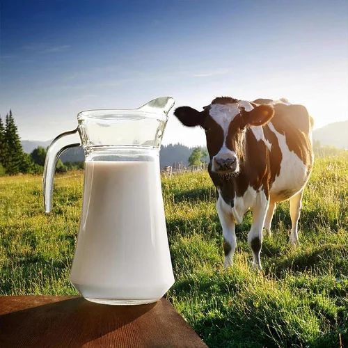 Fresh Dairy Products