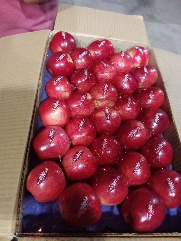Fresh Red Apple