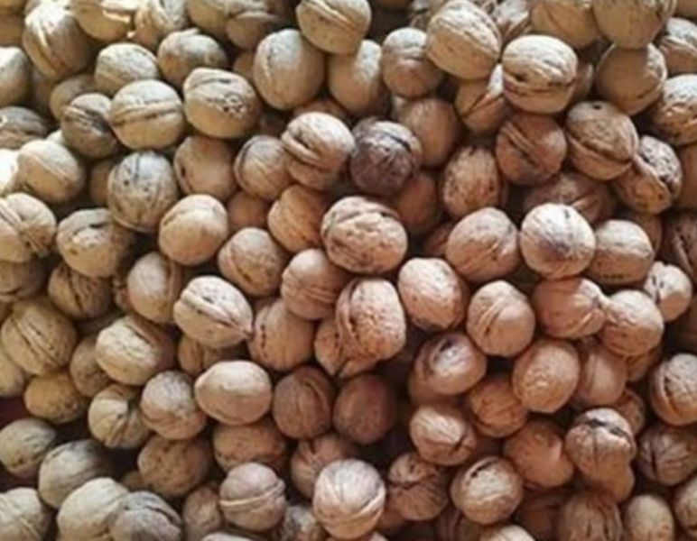 Kashmiri Walnuts