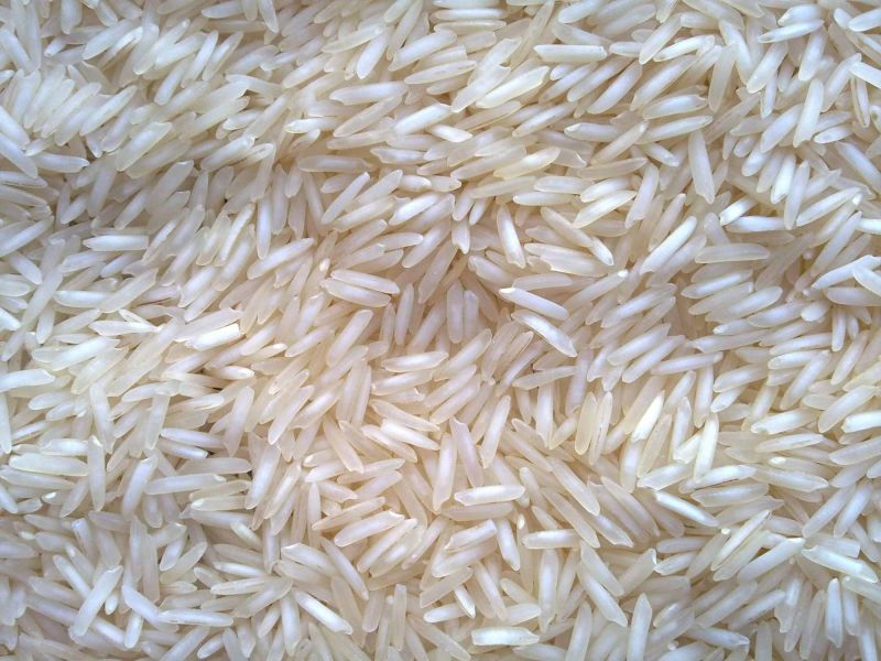 Indian Basmati & Non-Basmati Rice