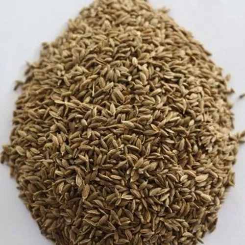 A Grade Dill Seed