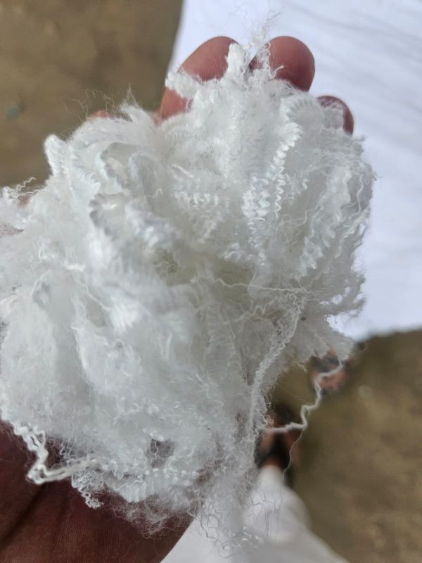 Polyester Staple Fibre