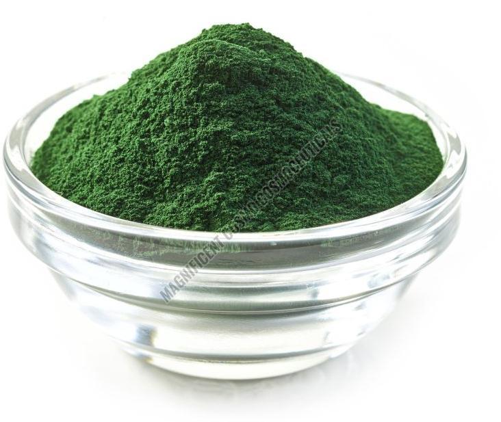 Spirulina Powder