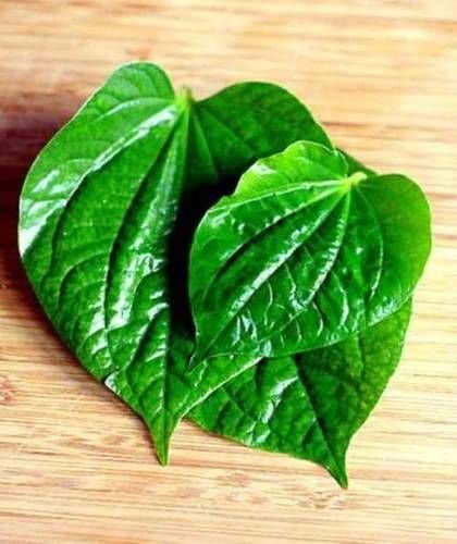 Calcutta Spicy Betel Leaf