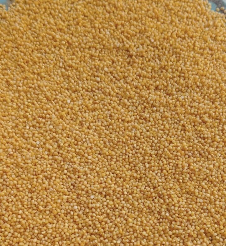 Millet Seeds