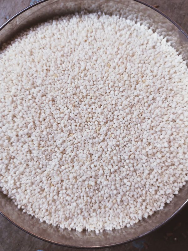 White Kodo Millet