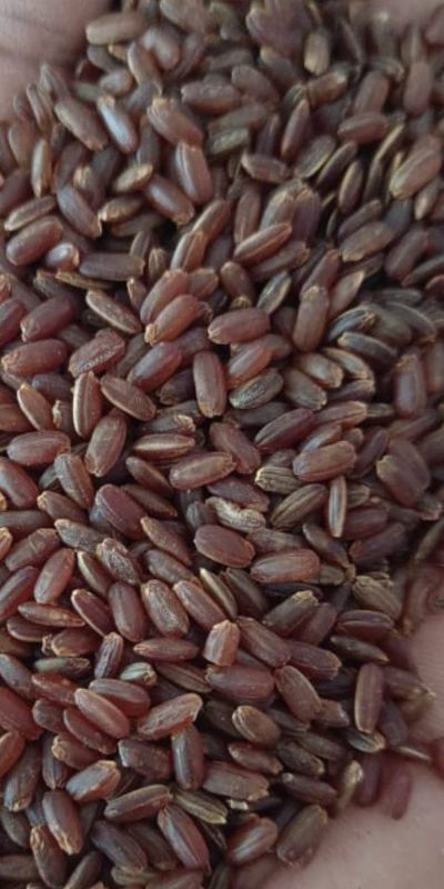 Mappillai Samba Rice