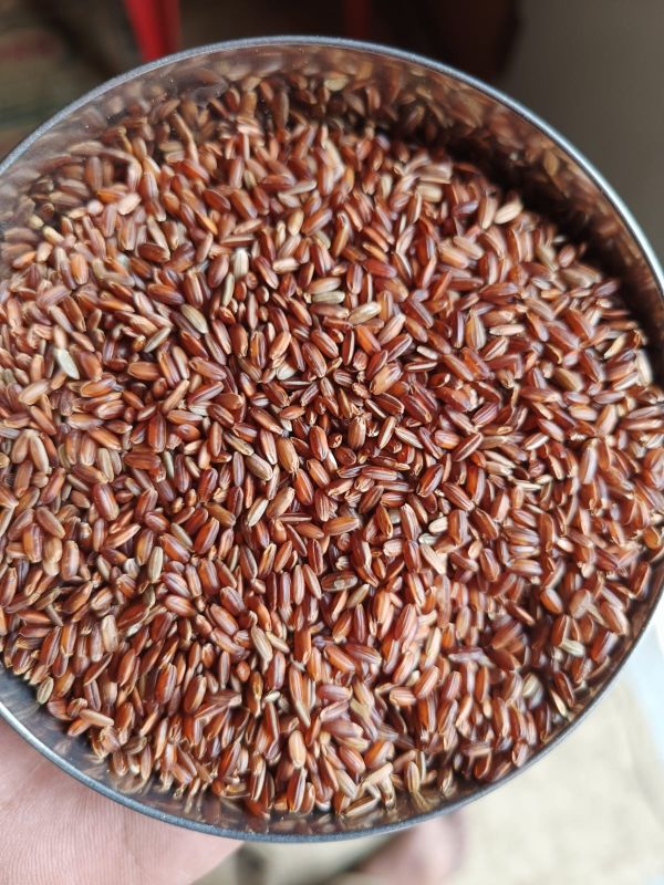 Indian Red Rice