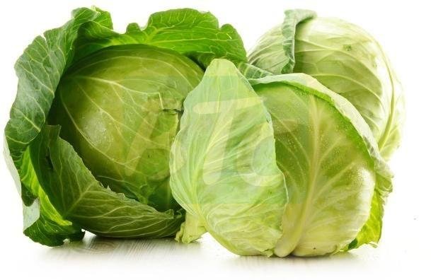 Fresh Green Cabbage