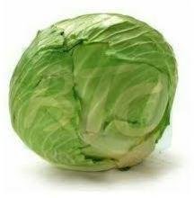 Fresh Natrual Cabbage