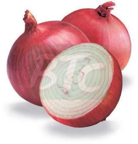 Fresh Red Onion