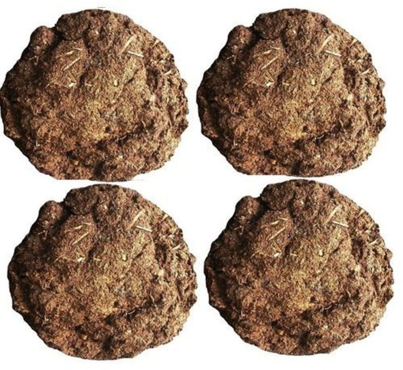 Organic Cow Dung Cake