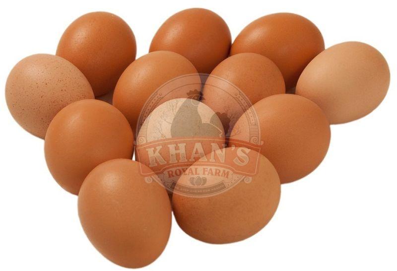 Brown Table Eggs