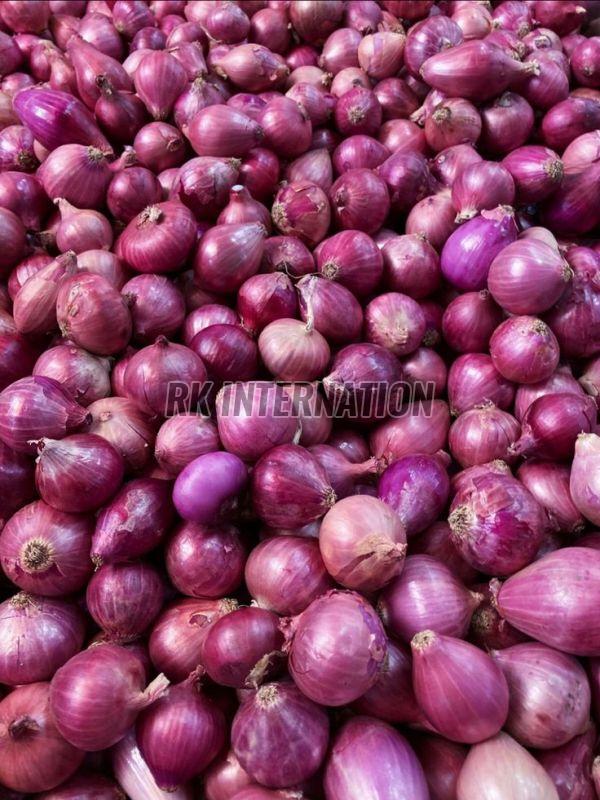 Fresh Red Onion