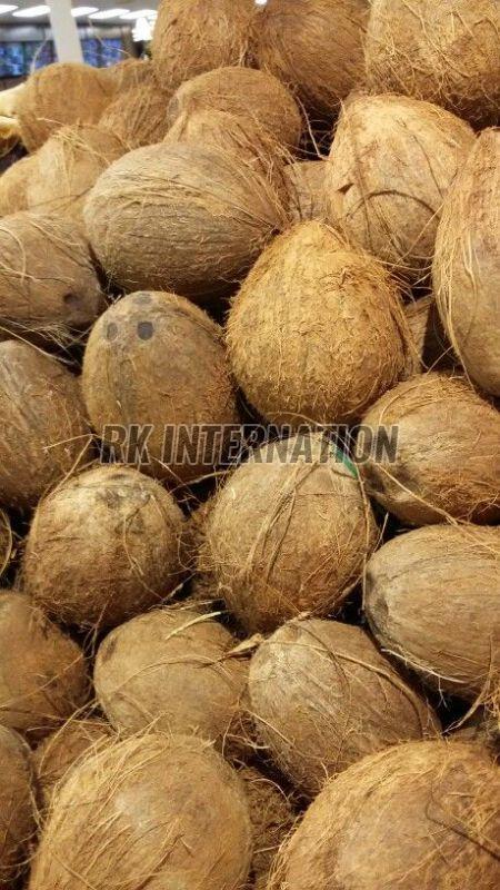 Semi Husked Coconut