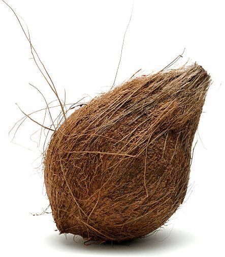 Semi Husked Coconuts