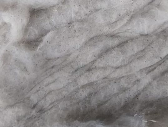 Cotton Dropping Waste