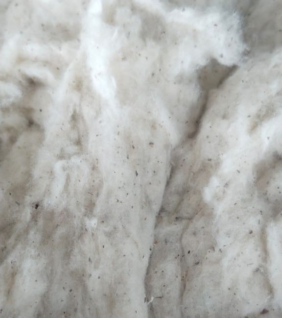 Flat Strips Cotton Waste