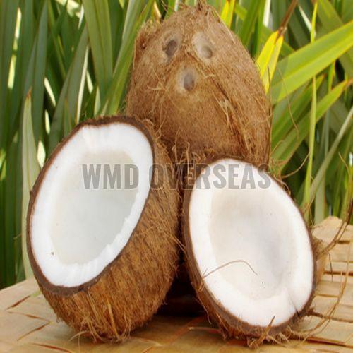 Fresh Coconut