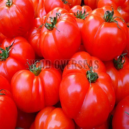 Fresh Red Tomato