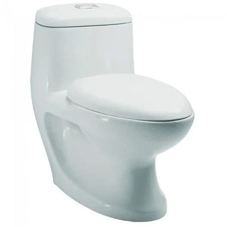 Water Closet Toilet