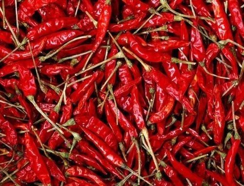 Guntur Red Chilli