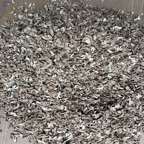 Hand Cut Conventional Dry Ginger Slice