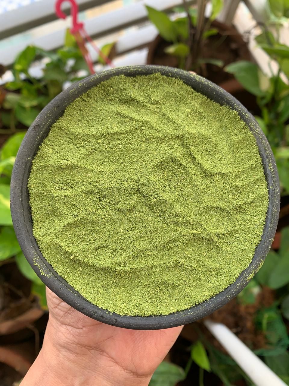Moringa Powder