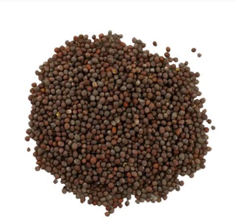 Natural Black Mustard Seeds