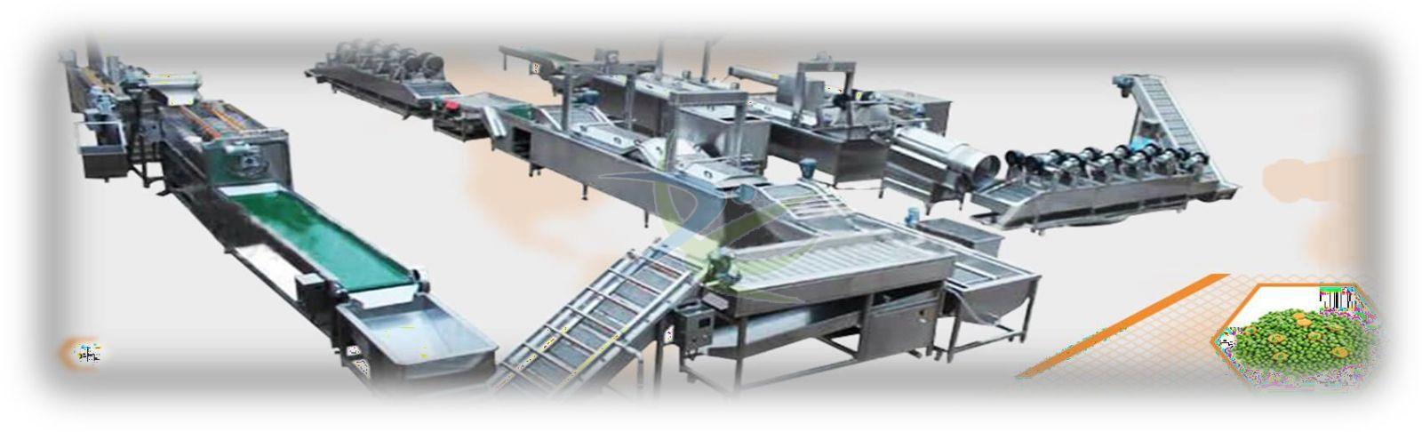 Frozen Fruit & Vegetable Line Machine