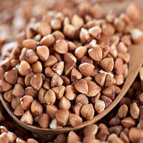Buckwheat Millet Seeds