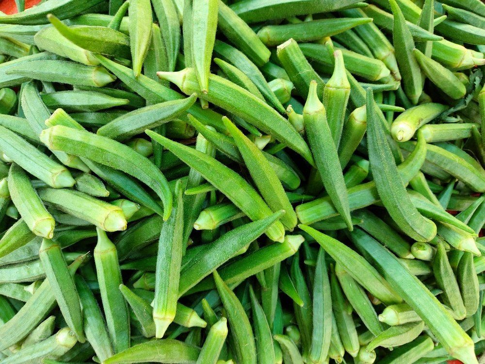 Fresh Green Lady Finger