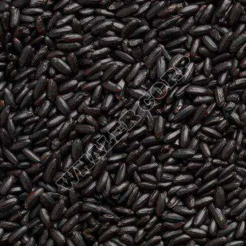 Black Rice
