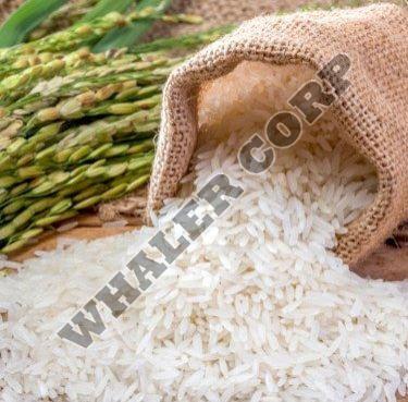 Sona Masoori Basmati Rice