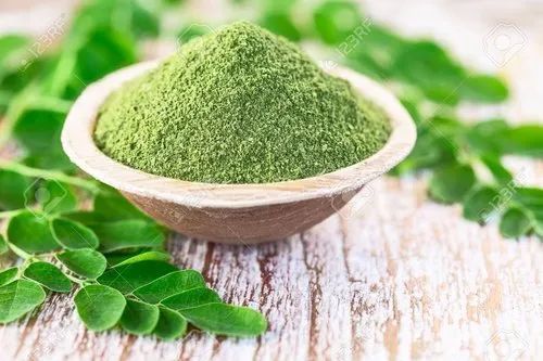 Moringa Leaves Powder