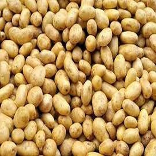 A Grade Bhutan Potato