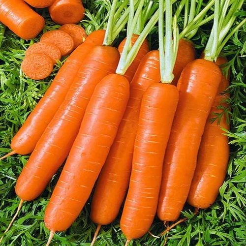 Fresh Orange Carrot