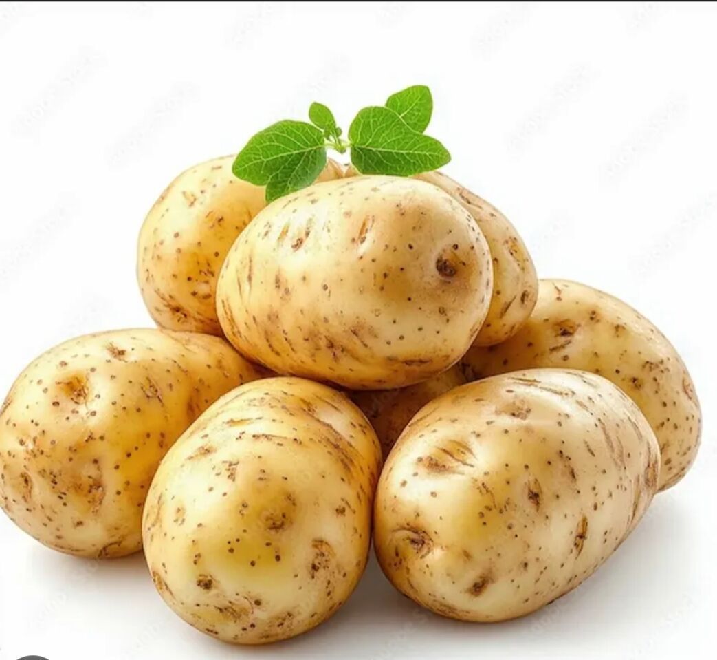 Fresh Brown Potato