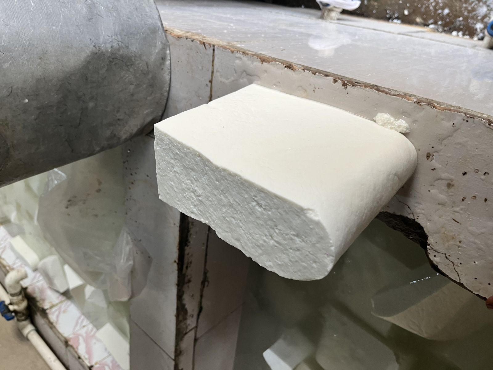 Fresh Milk Paneer Tikki